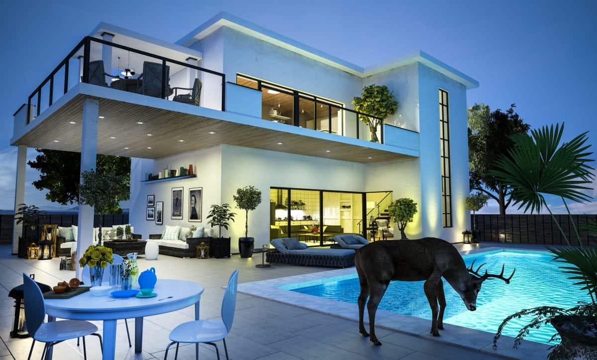 Real Estate Staging Tips