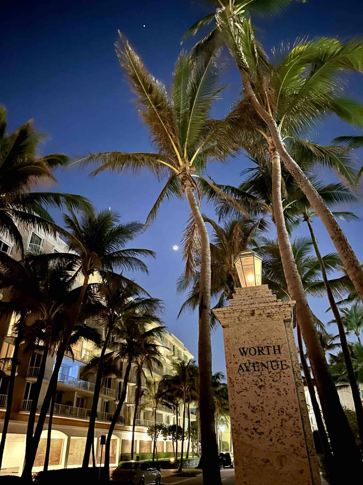 Meet the New "Instaqueen" of Palm Beach Suebelle Robbins — Hamptons Real Estate Showcase The