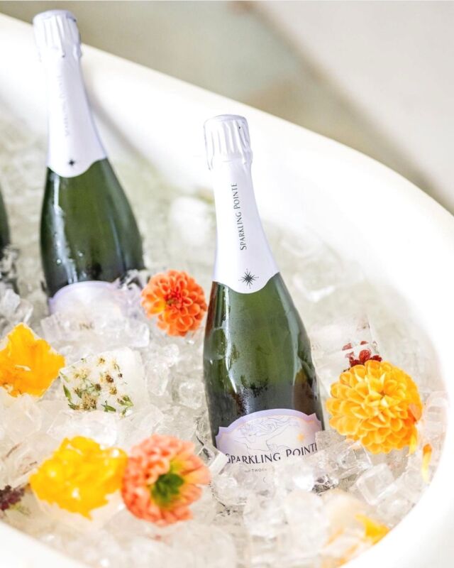This weekend calls for a sparkling escape to @sparklingpointe! Toast to the good life amidst the vineyard's picturesque setting where every sip is a celebration. Cheers to weekends well spent and memories in the making! 🍇✨