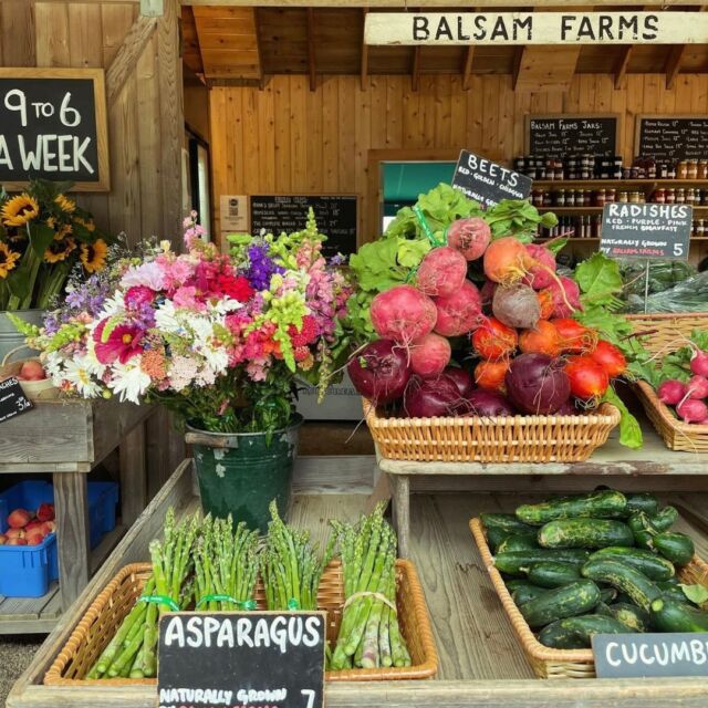 Nothing says fall like a trip to Balsam Farms in Amagansett! 🍂 From fresh produce and homemade pies to all the autumn essentials, this is our one-stop shop for seasonal goodness. Who’s ready to fill their basket? 🥧🍎 [link in bio]