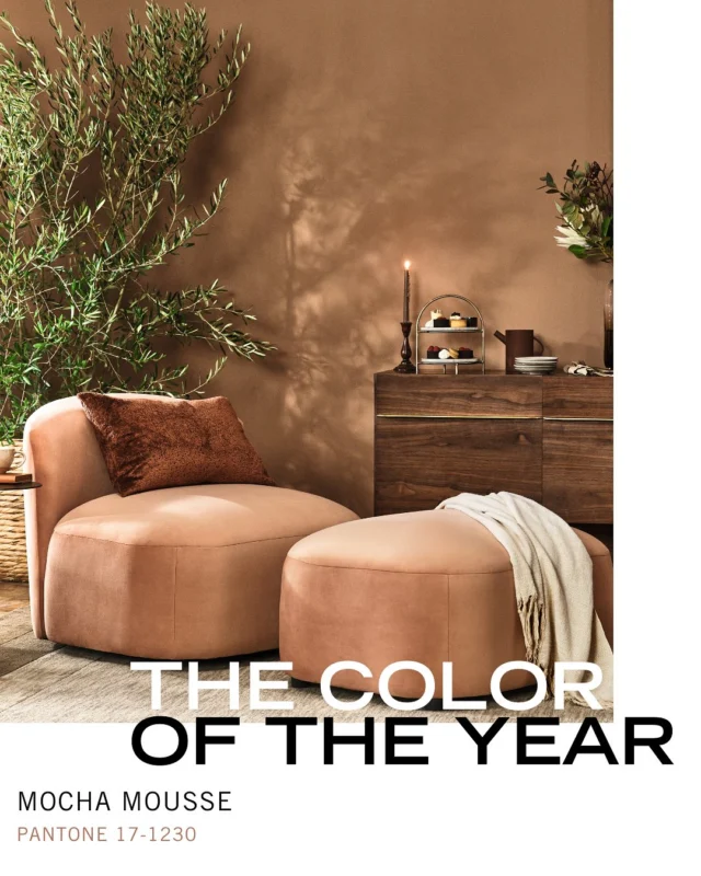 Could brown be the new black? 🤎 Mocha Mousse Pantone has been declared Color of the Year for 2025. The company describes it as “a warming, brown hue imbued with richness. It nurtures us with its suggestion of the delectable qualities of chocolate and coffee, answering our desire for comfort.” [link in bio]