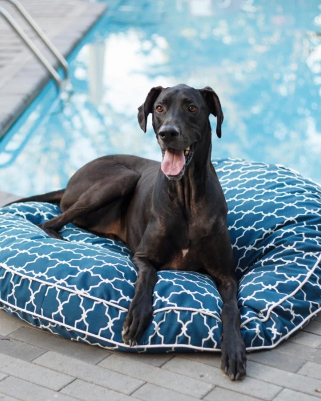 Refined details bring summer style outdoors, with pieces that balance comfort, design, and function. From sculptural lounge seating to statement tableware and luxury accents, these finds elevate any Hamptons home. [link in bio]